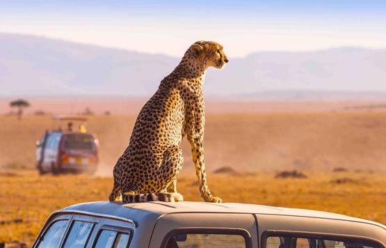 africa-tour-itinerary-2