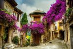 تور فرانسه - تصویر 8